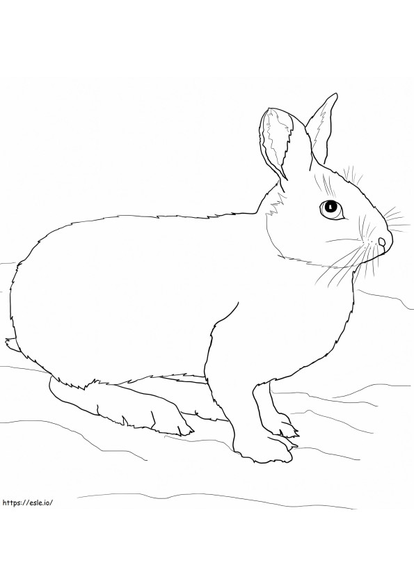 ダメリックウサギ