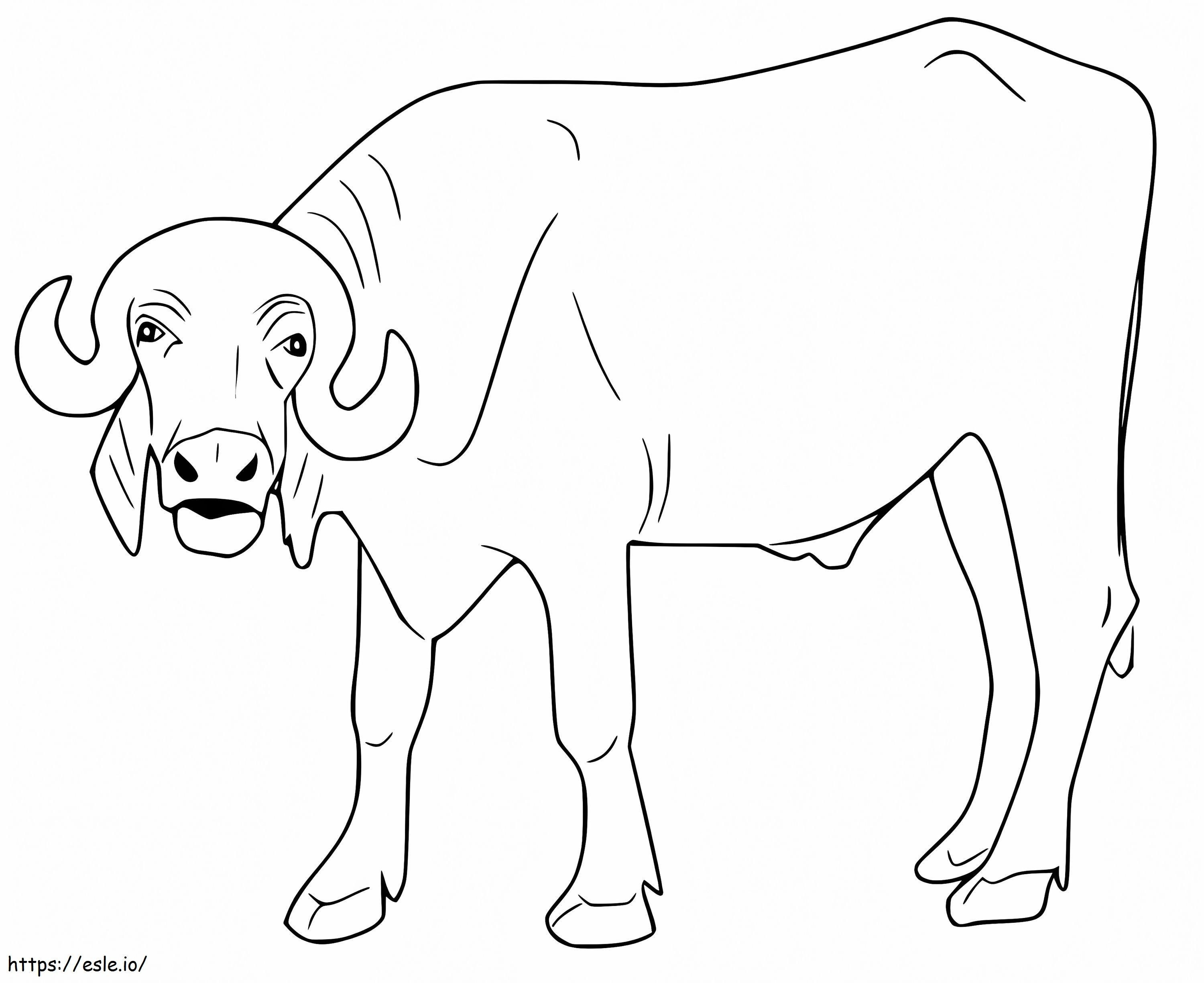 Bull 4 coloring page