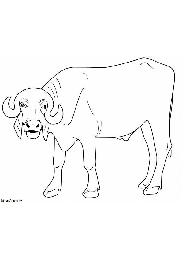 Bull 4 coloring page