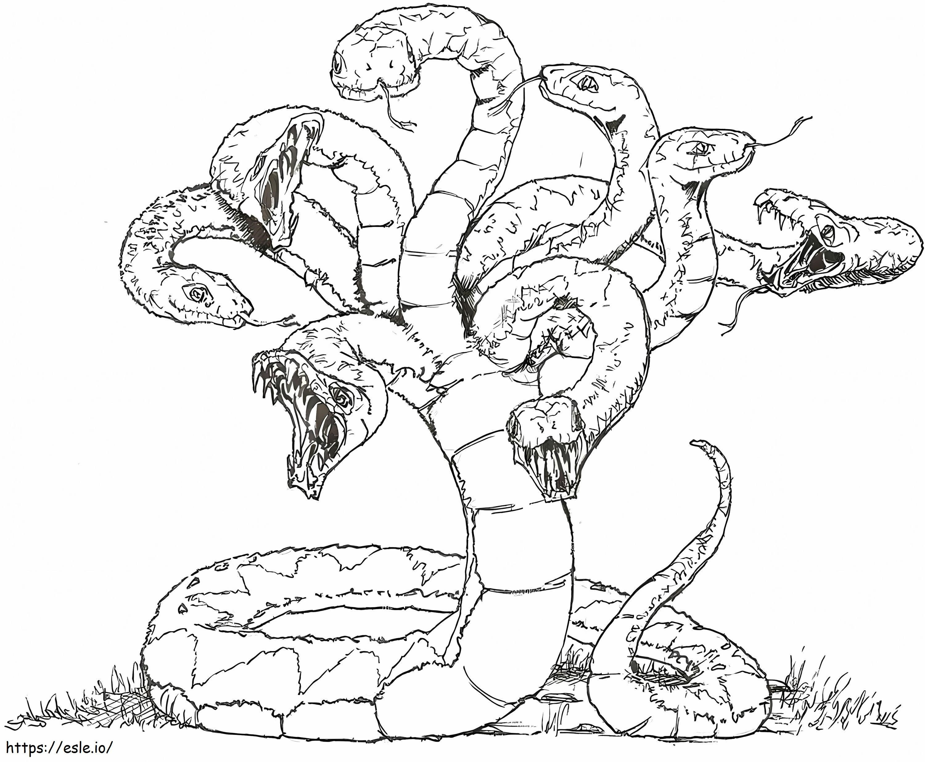 Hydra 1 kolorowanka
