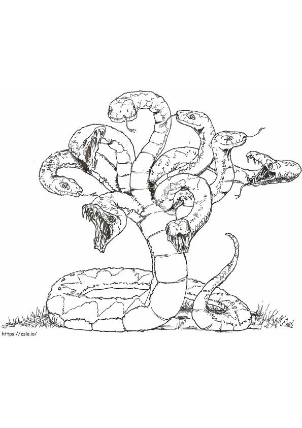 Hydra 1 coloring page