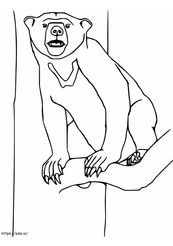 Sun Bear In A Tree coloring page