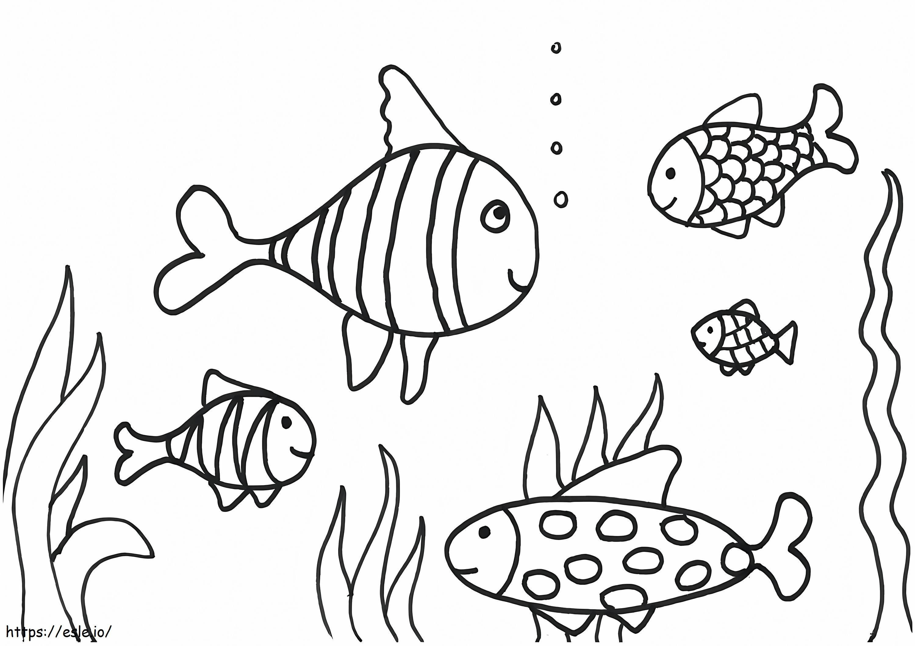 Viisi kalaa värityskuva