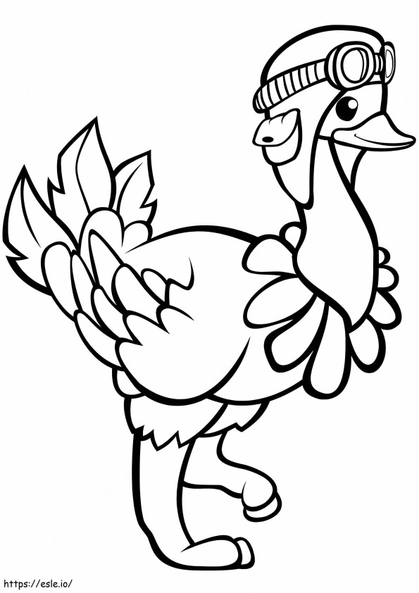 Funny Ostrich