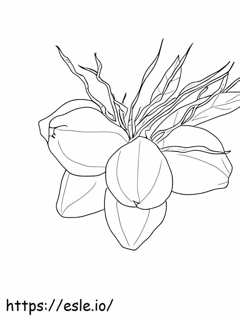 Five Coconut coloring page