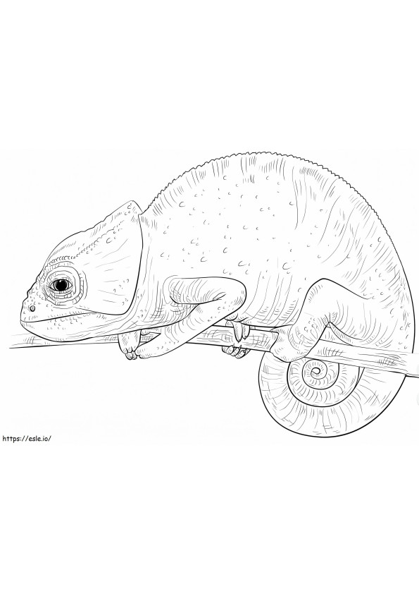 And Chameleon A4 coloring page