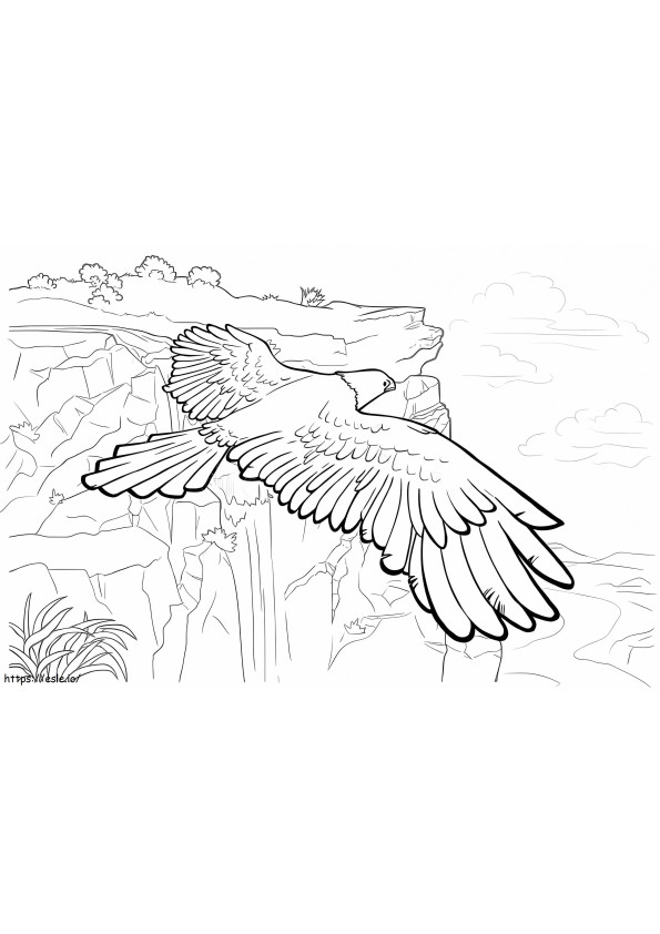 Coloriage Aigle avec de beaux paysages à imprimer dessin