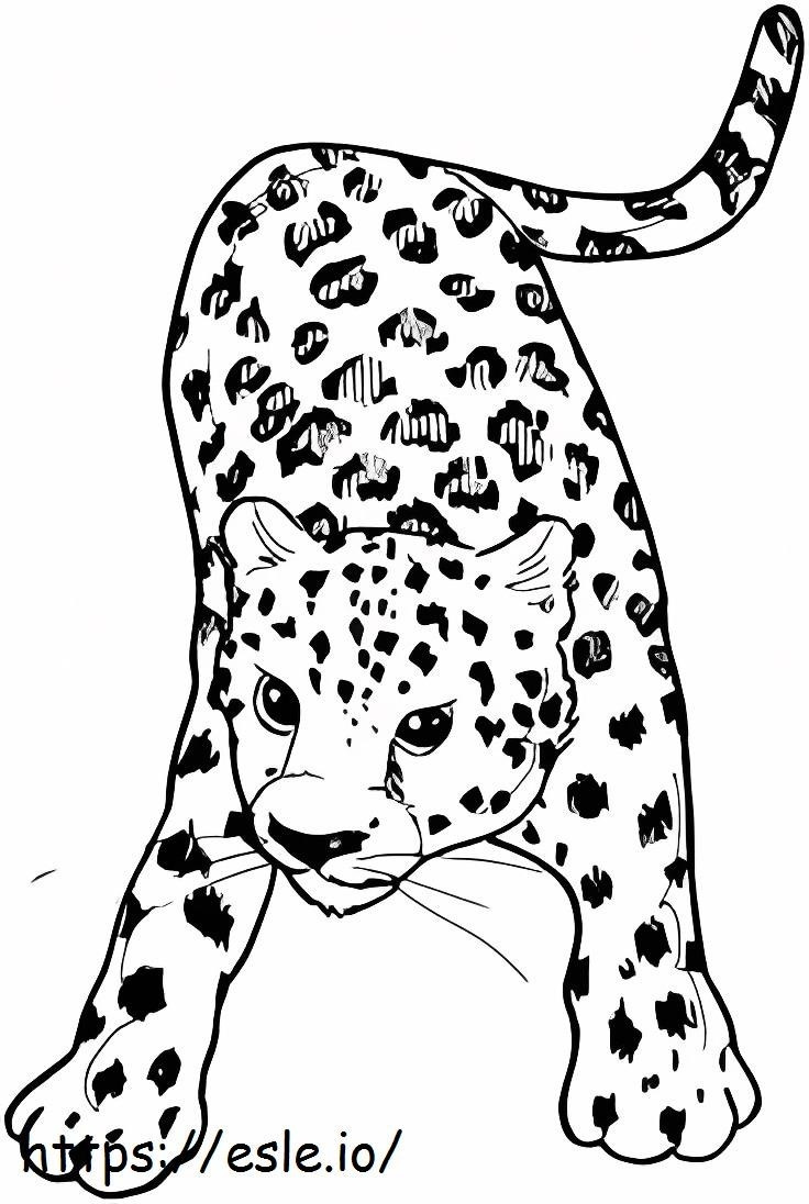 Leopardo Básico para colorear