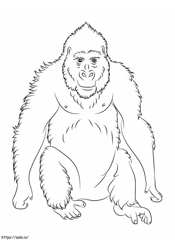 Basic Orangutan coloring page