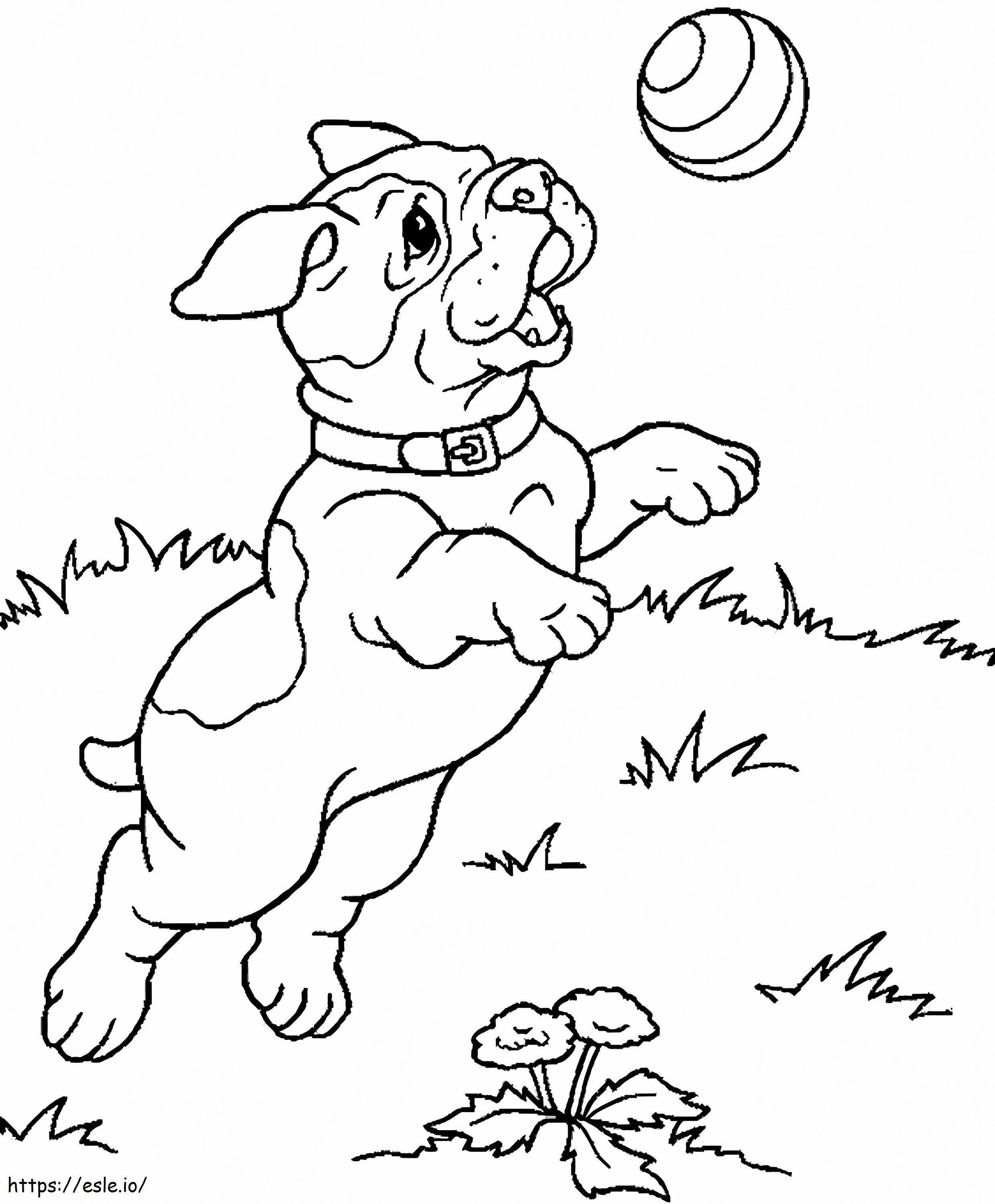 Chc3Ba Chc3B3 Pug Chc6A1I Ve1Bb9Bi Que1Baa3 Bc3B3Ng coloring page