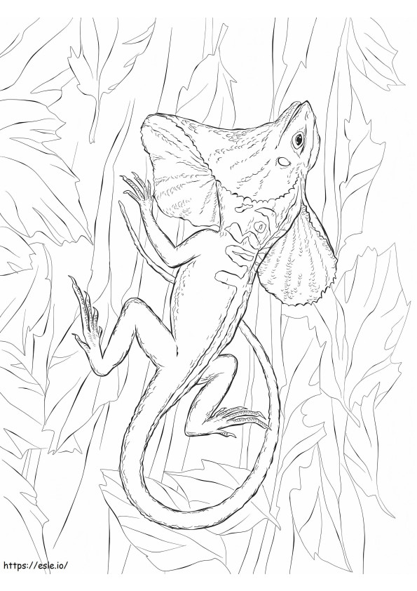 Frill Necked Lizard A4 coloring page