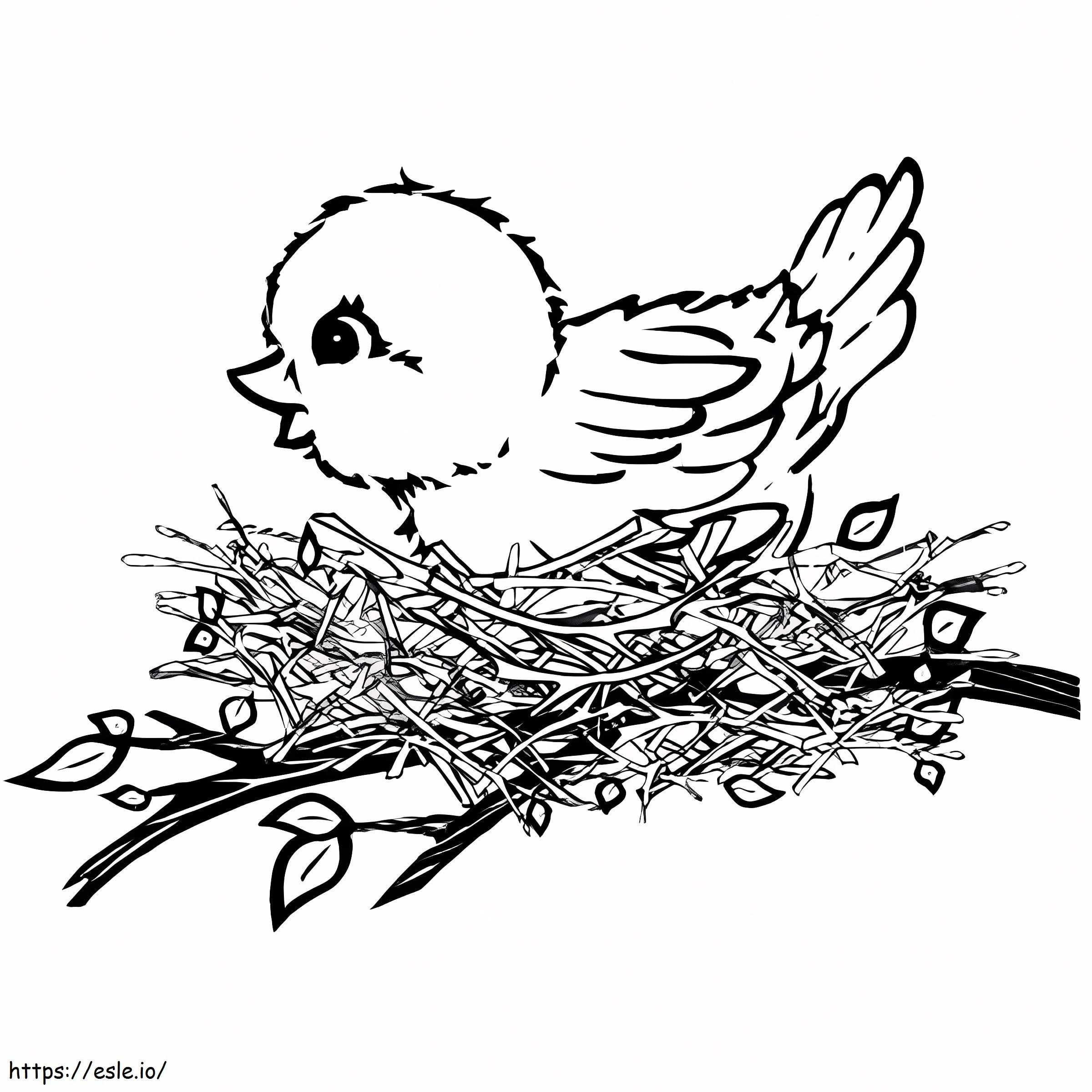 Canaries In The Nest coloring page