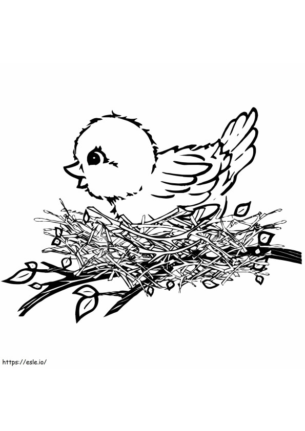 Coloriage Canaris dans le nid à imprimer dessin