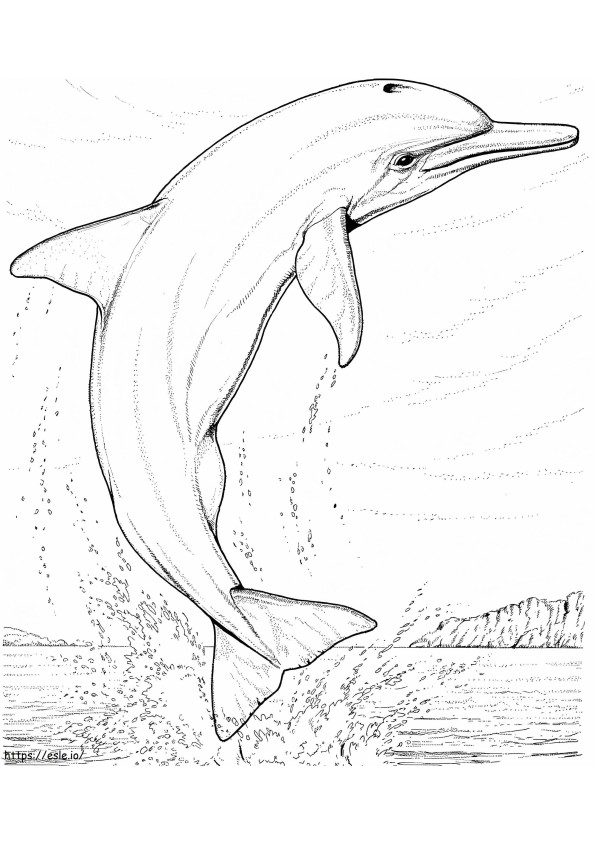 Delfín saltador para colorear