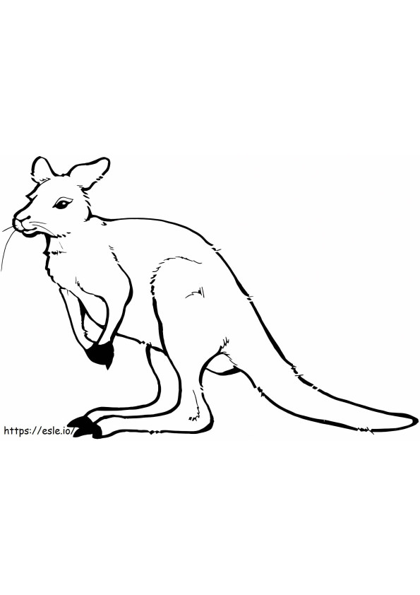 basit kanguru boyama