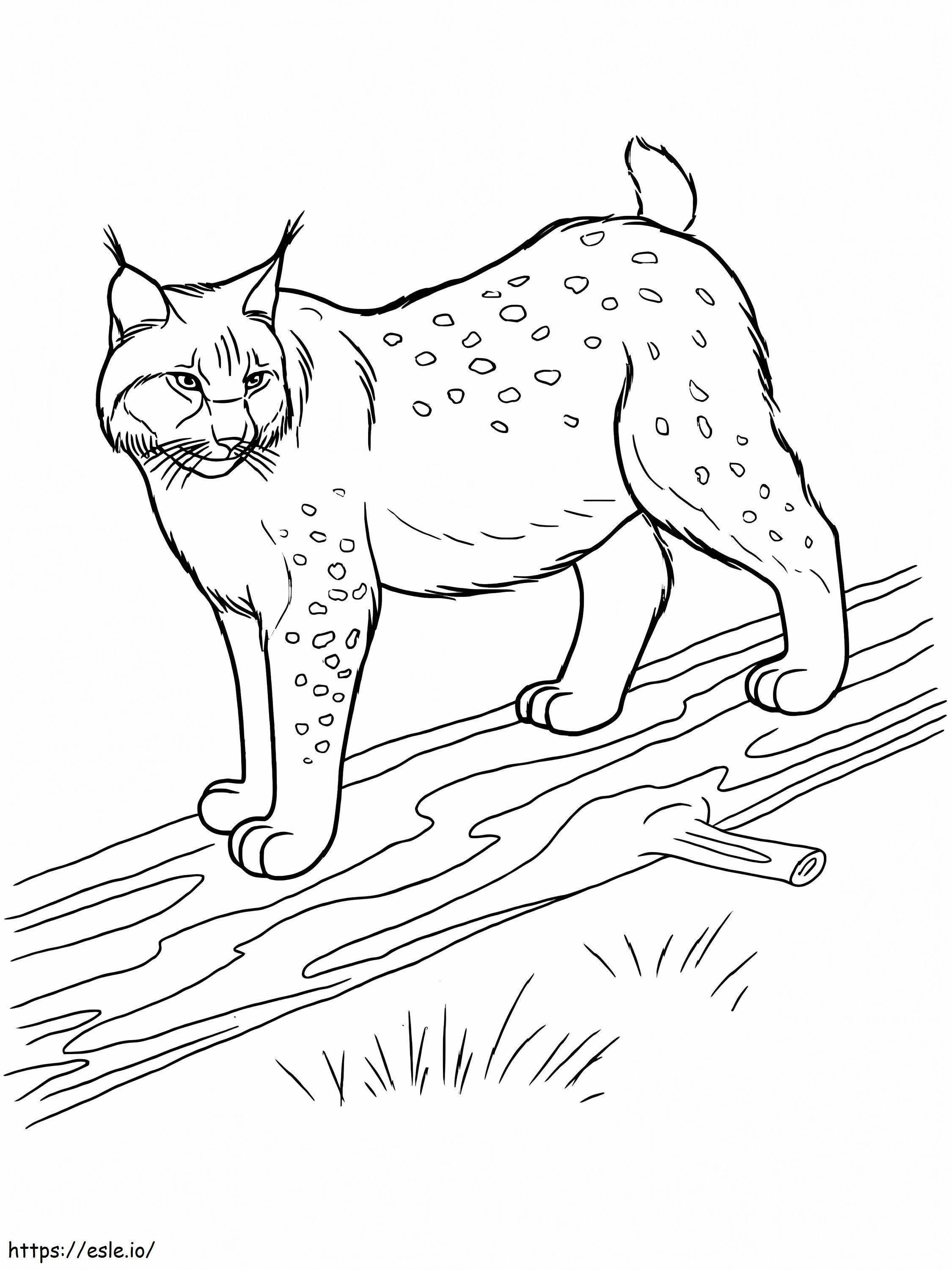 Coloriage Lynx debout sur un corps en bois à imprimer dessin