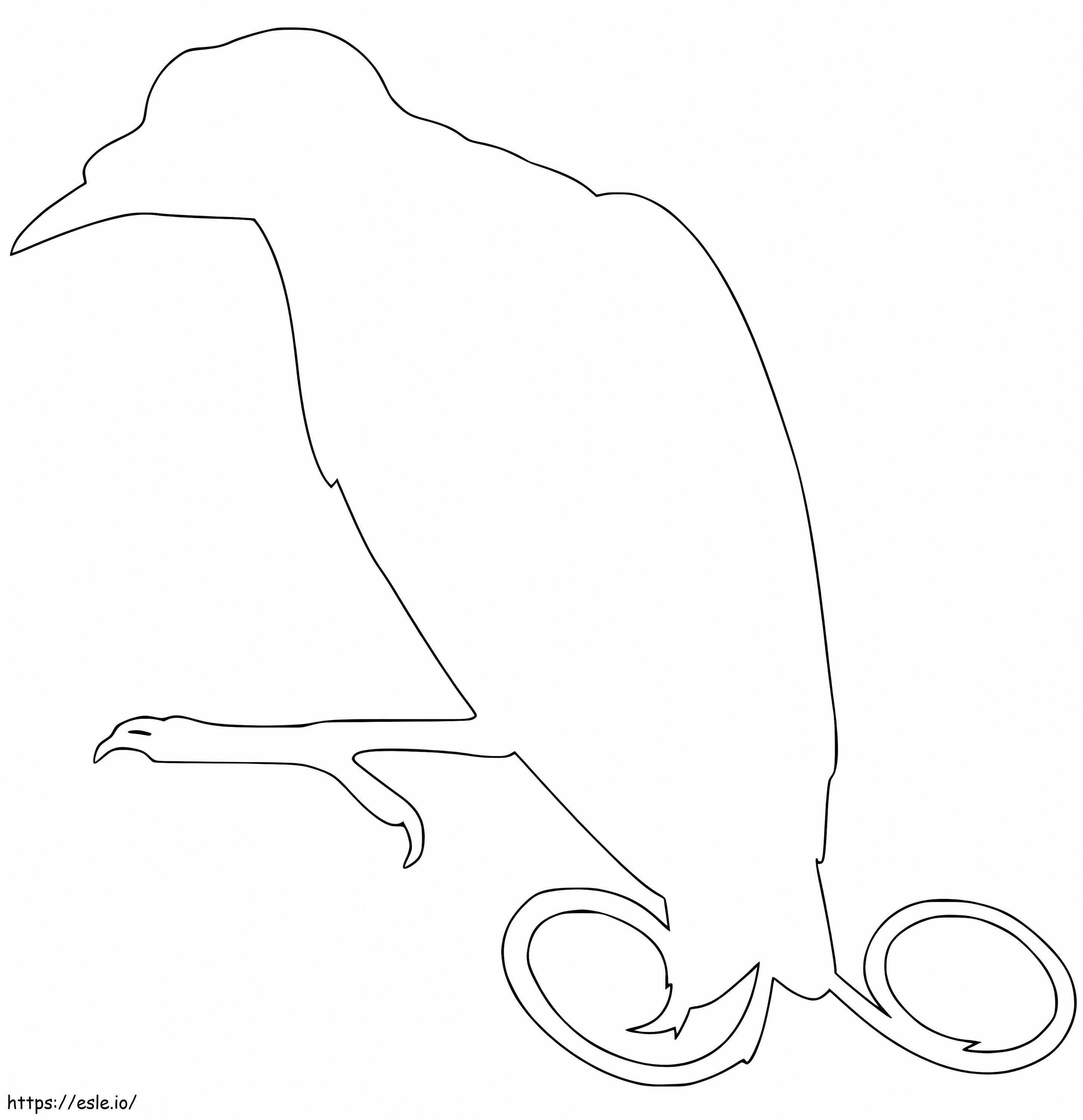 Outline Bird Of Paradise Coloring Page