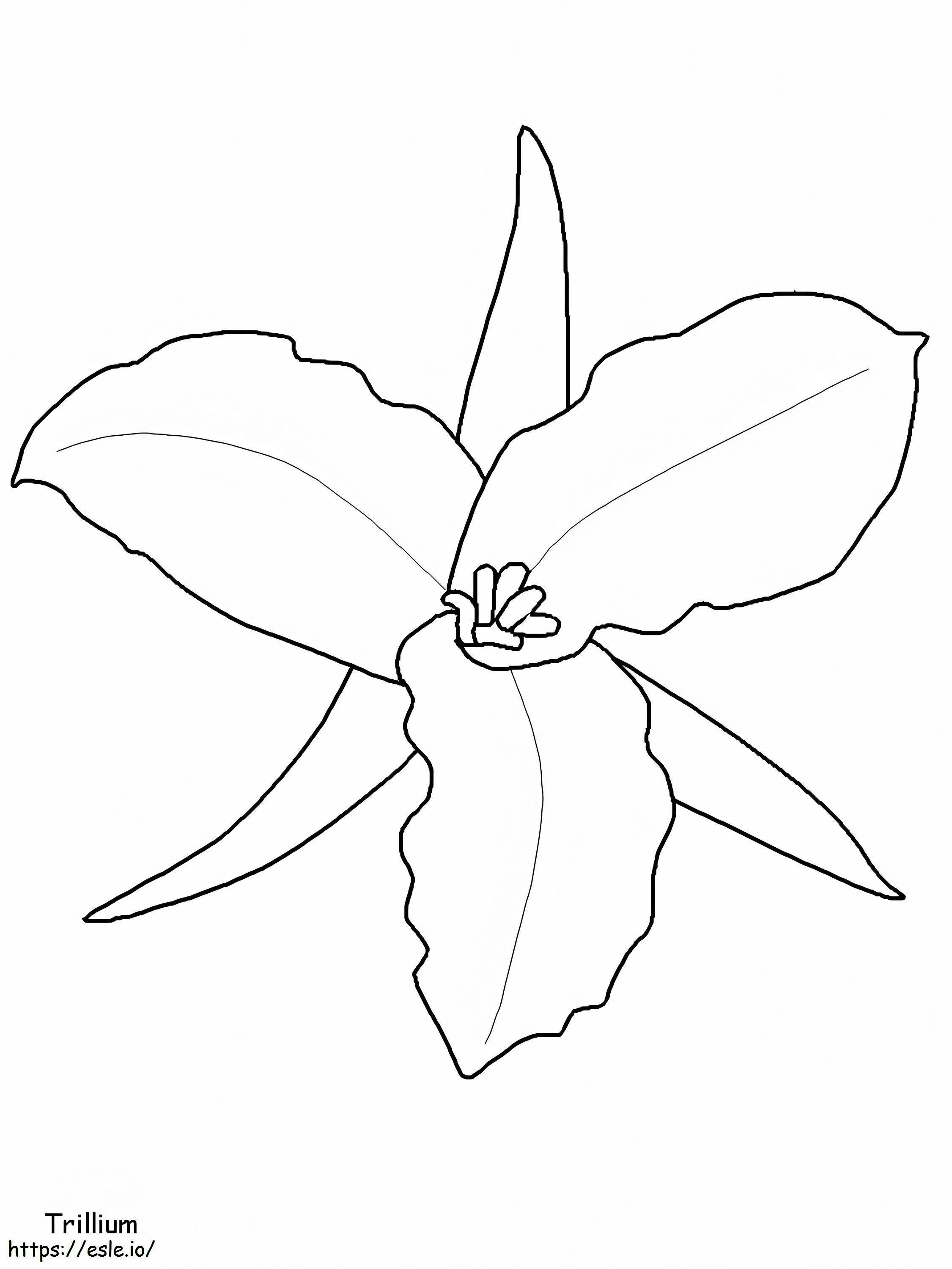 6A4 coloring page