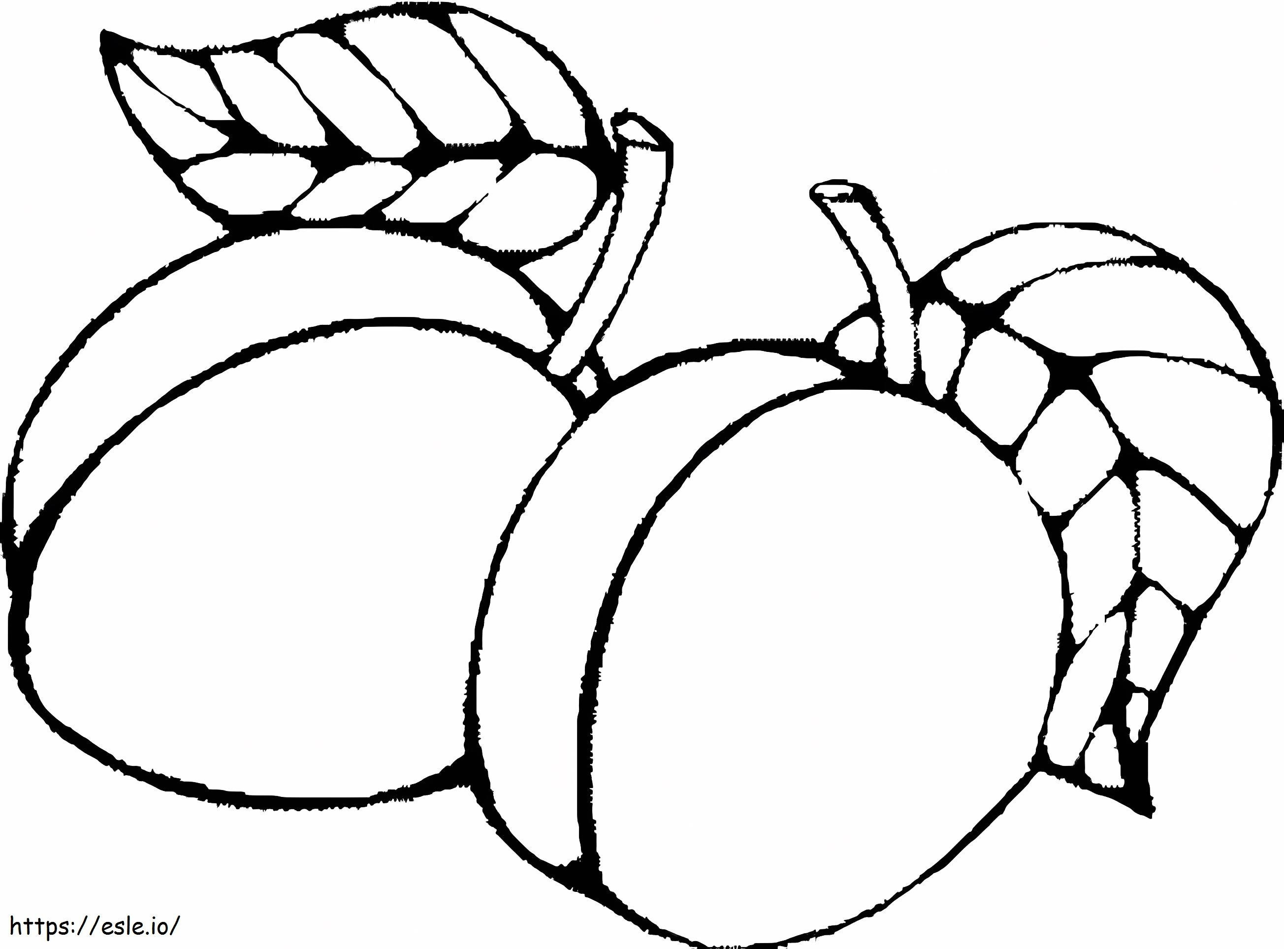 Zwei einfache Aprikosen ausmalbilder