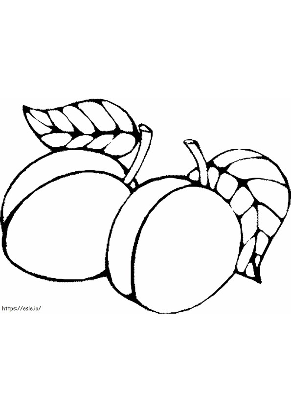 Zwei einfache Aprikosen ausmalbilder