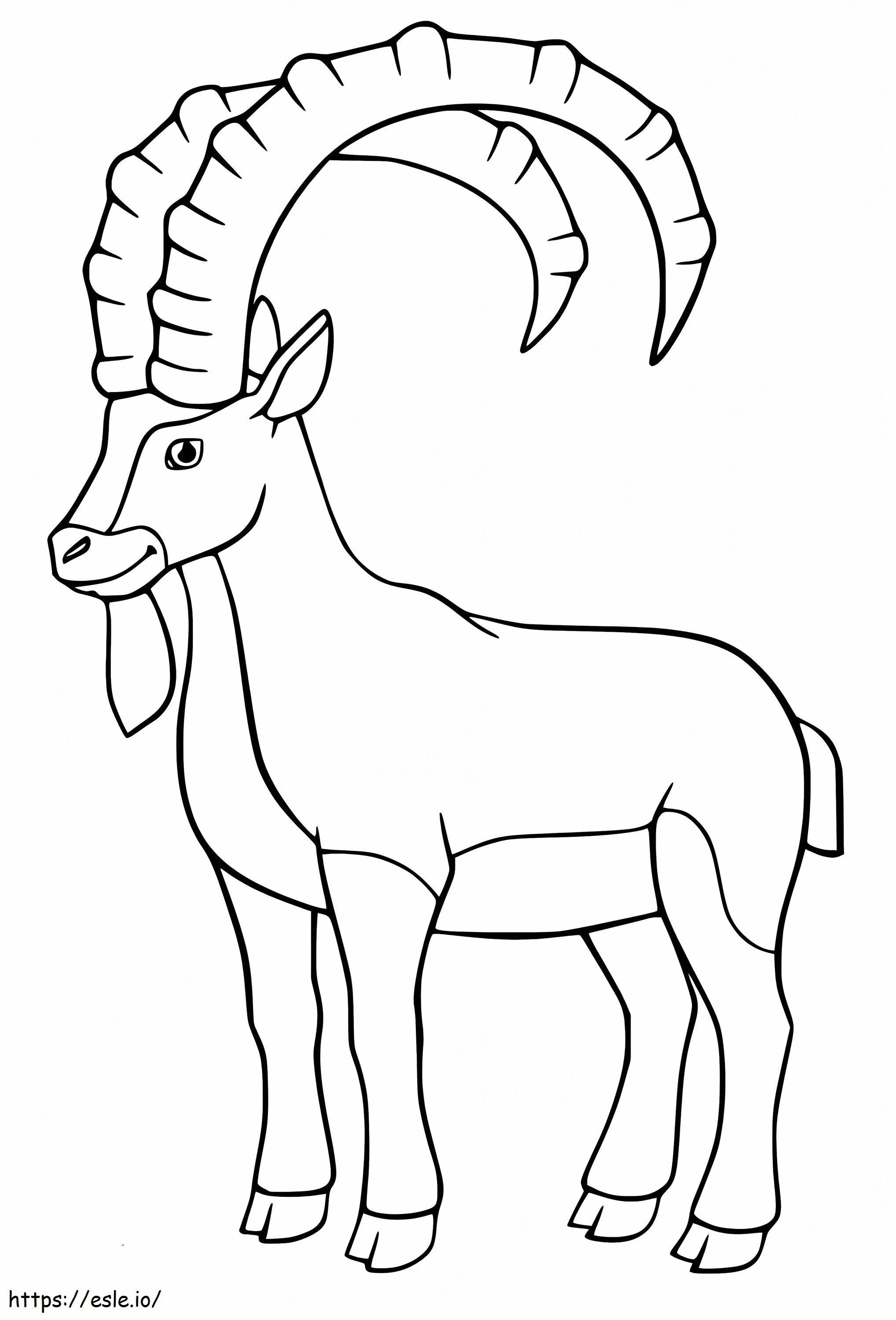 Ibex Zâmbind de colorat