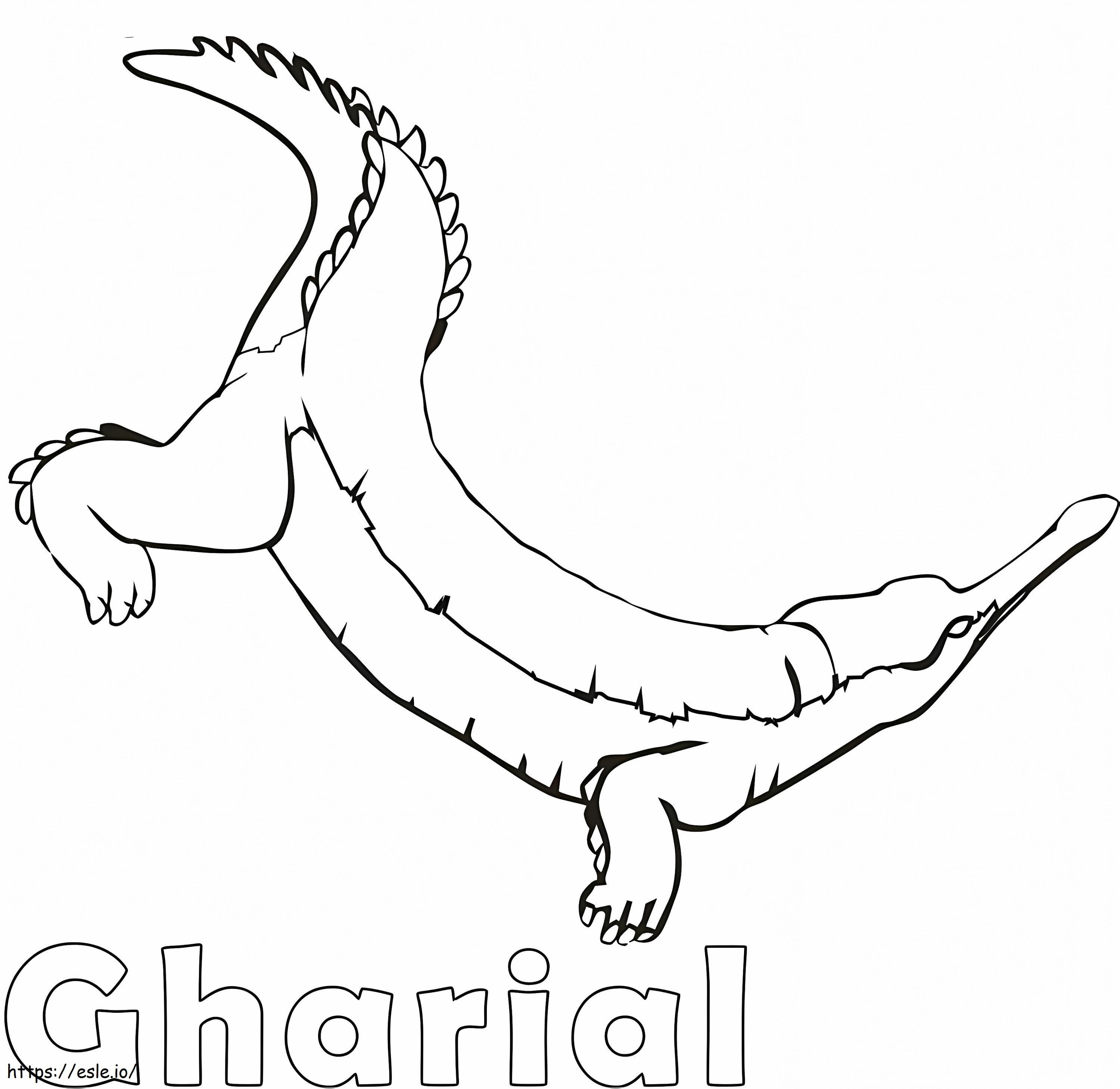 gavial simple para colorear