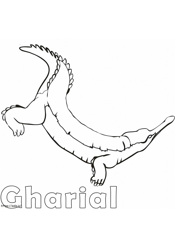 Eenvoudige gaviaal kleurplaat