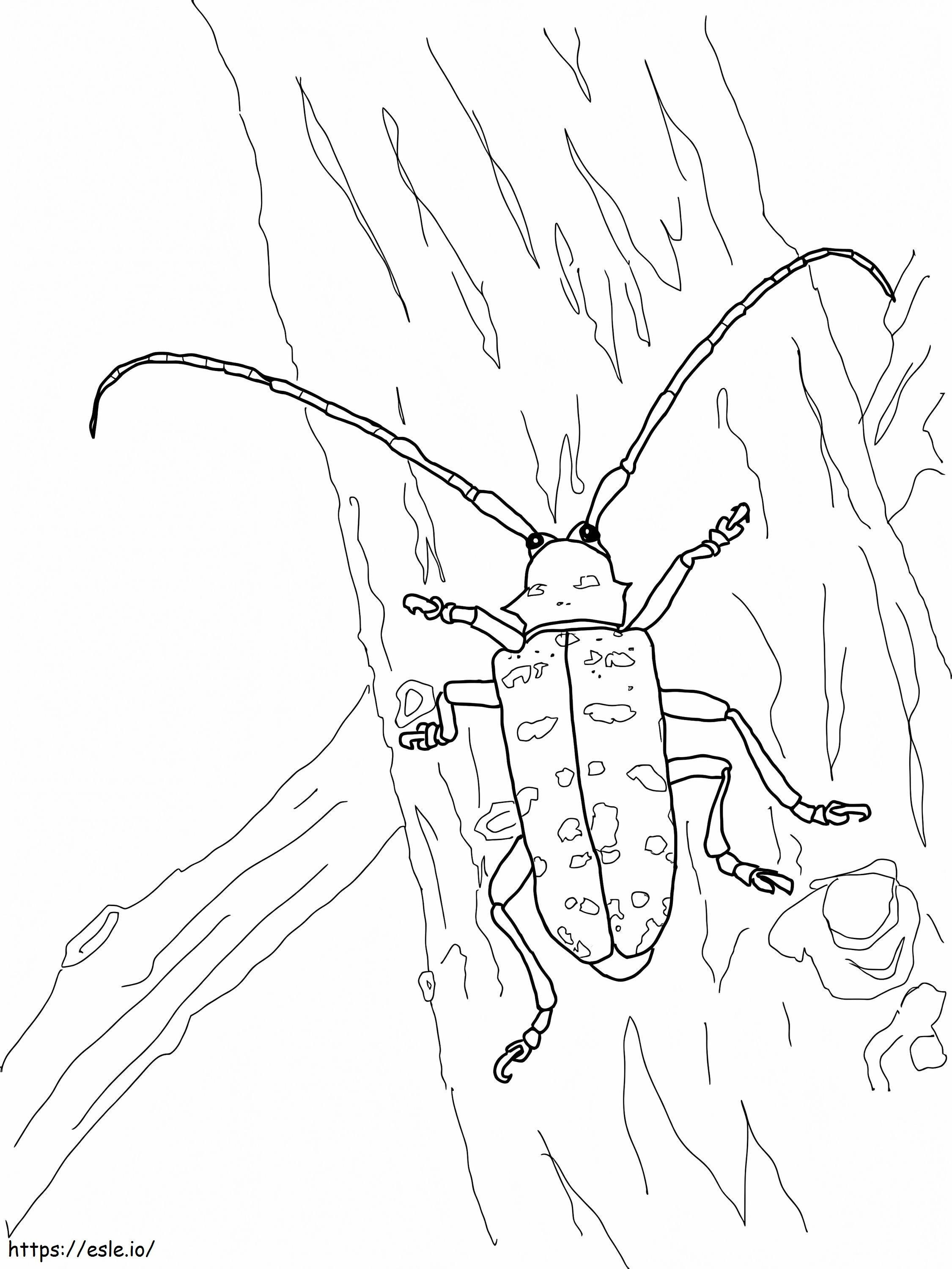 Kumbang Longhorned Asia Gambar Mewarnai