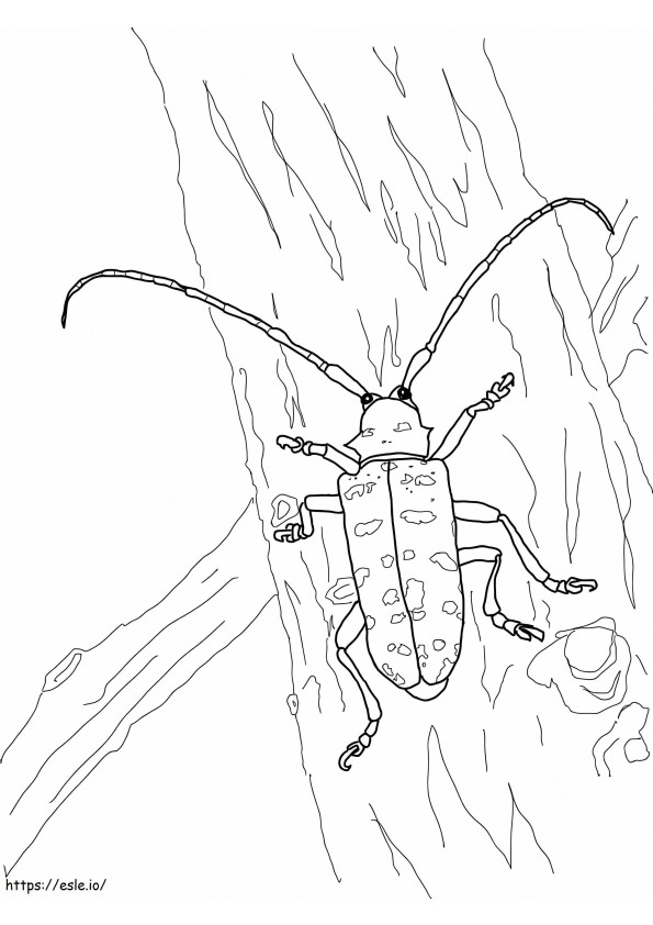 Kumbang Longhorned Asia Gambar Mewarnai