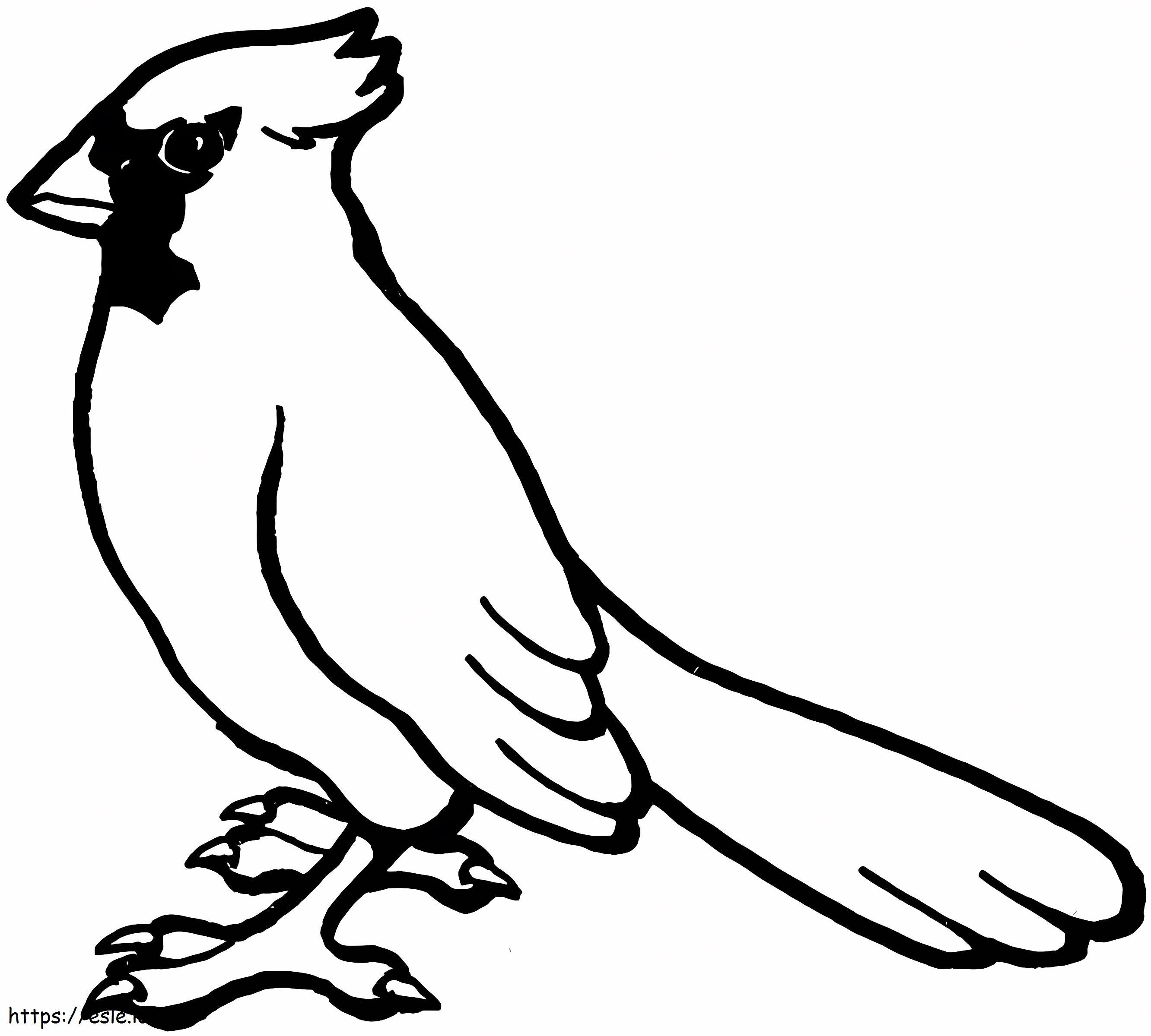 Cardinal Bird värityskuva