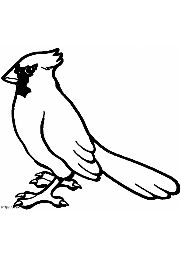 Kardinaal Vogel kleurplaat