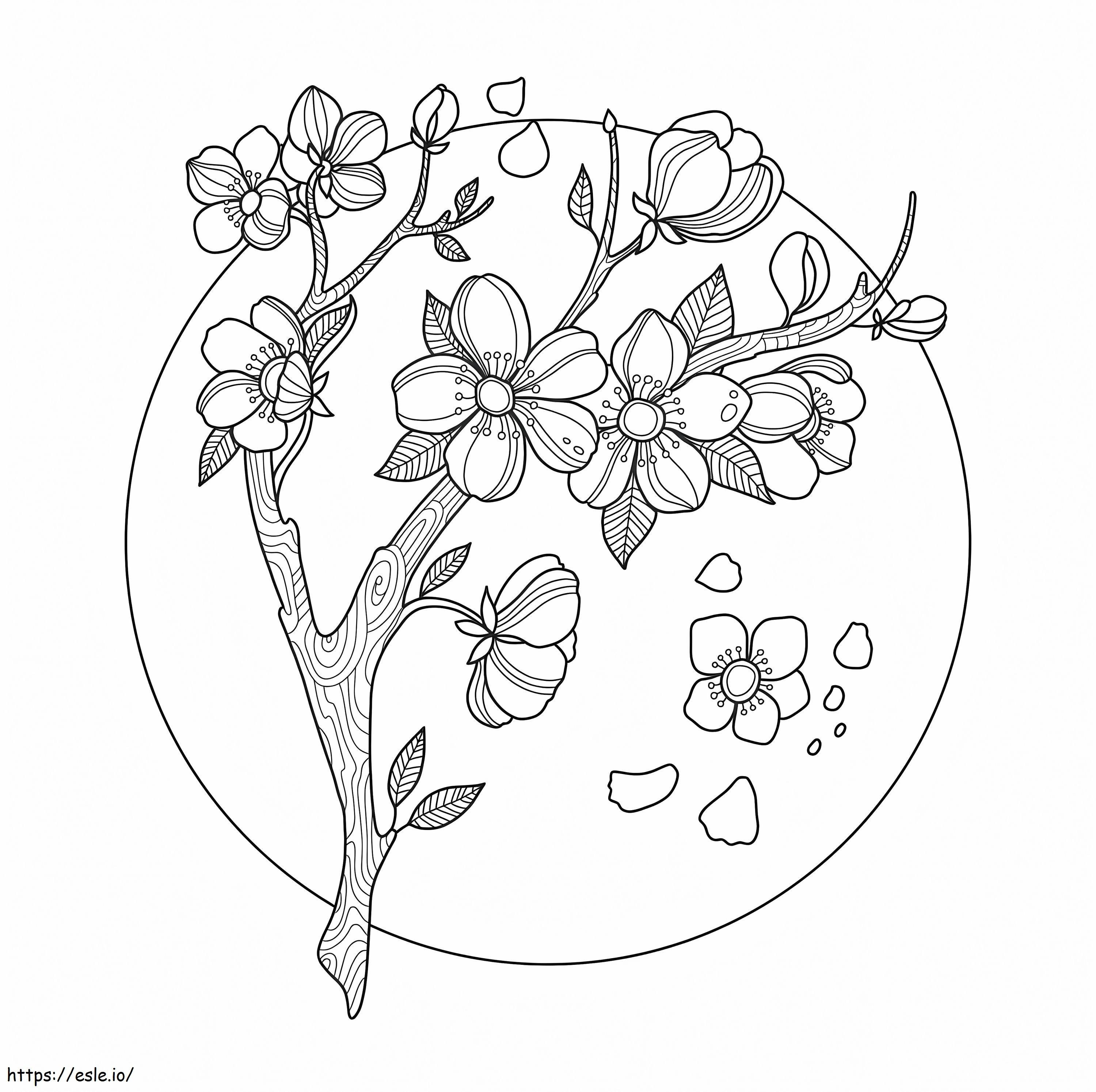 Flor de cerejeira em círculo para colorir