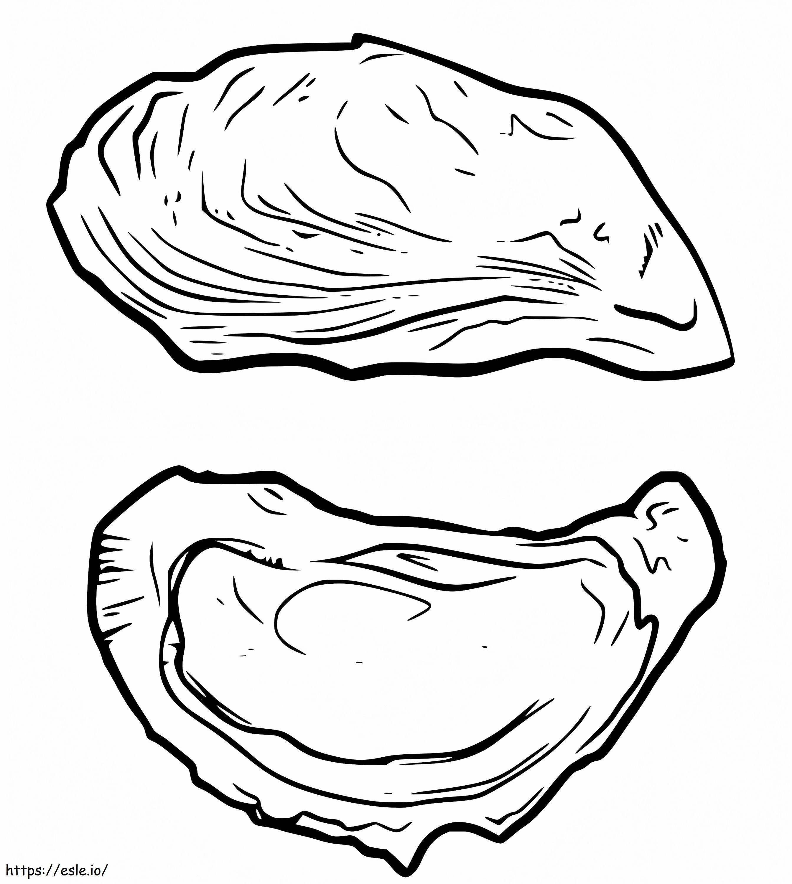 Conchas de ostras para colorear