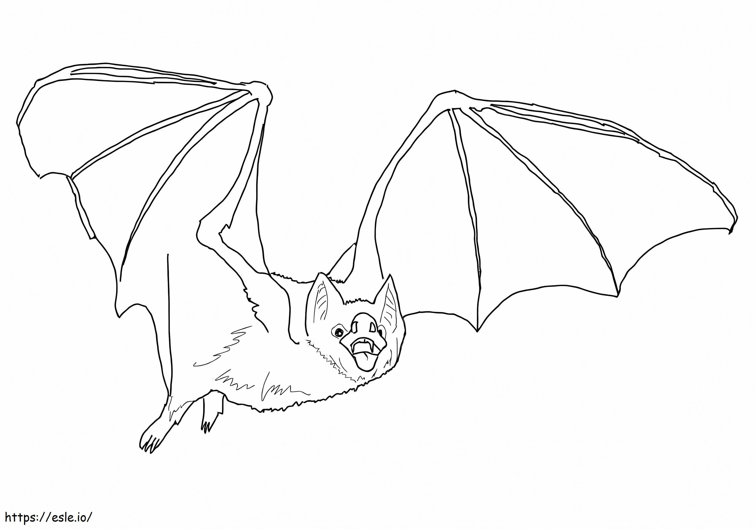 Pipistrello vampiro comune da colorare