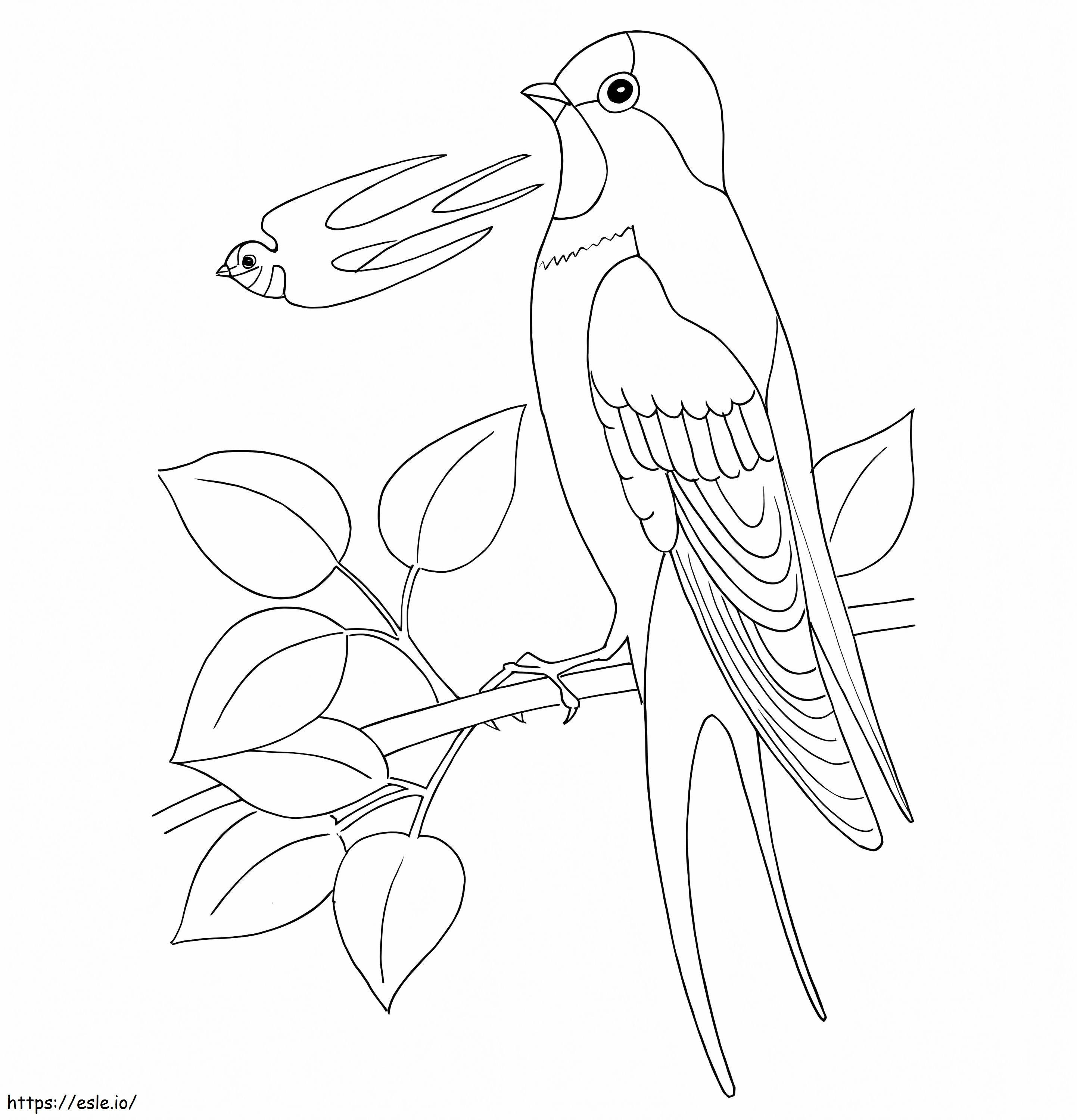 Swallows coloring page