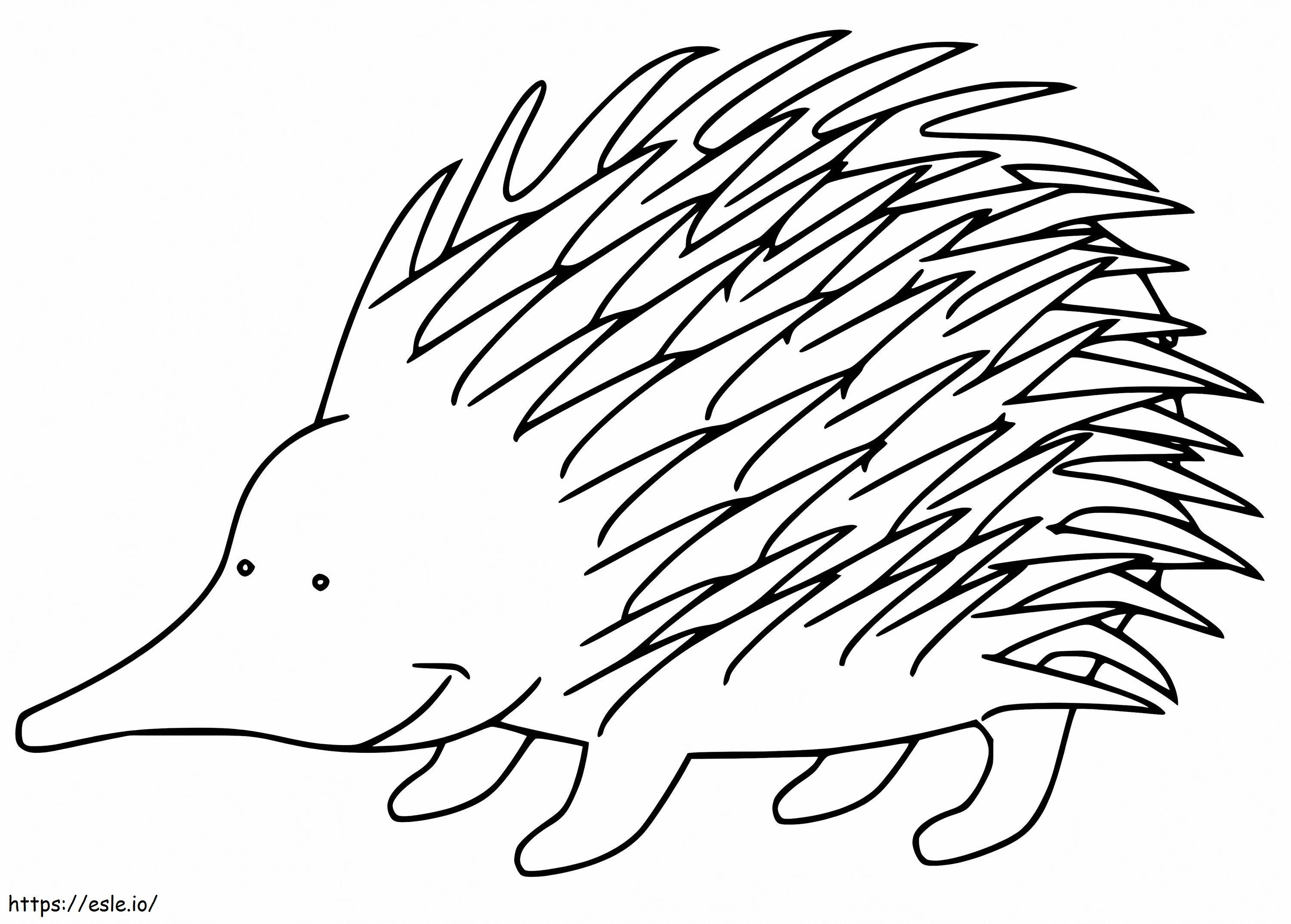 Happy Echidna coloring page