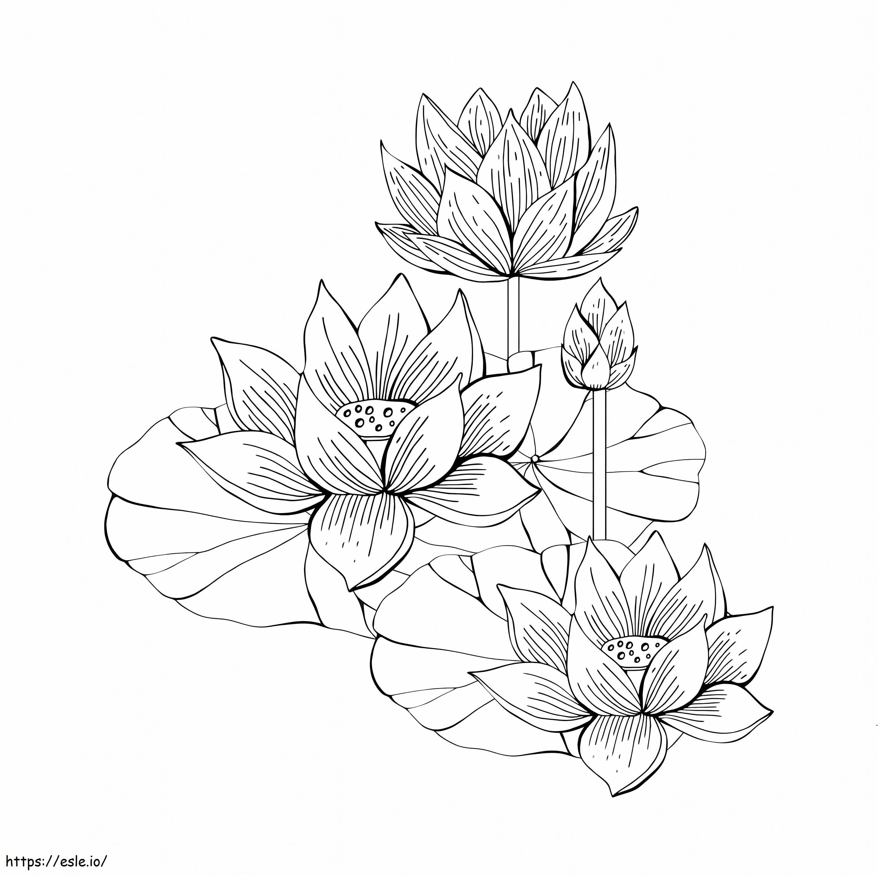 Hand Draw Lotus coloring page