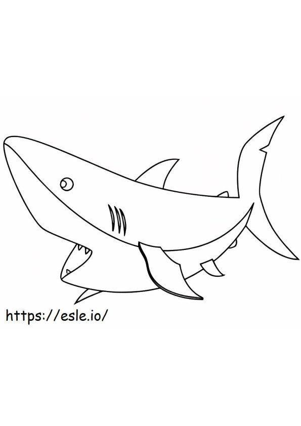 tubarão básico para colorir
