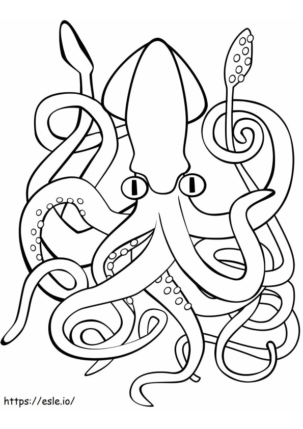 Squid A4 coloring page