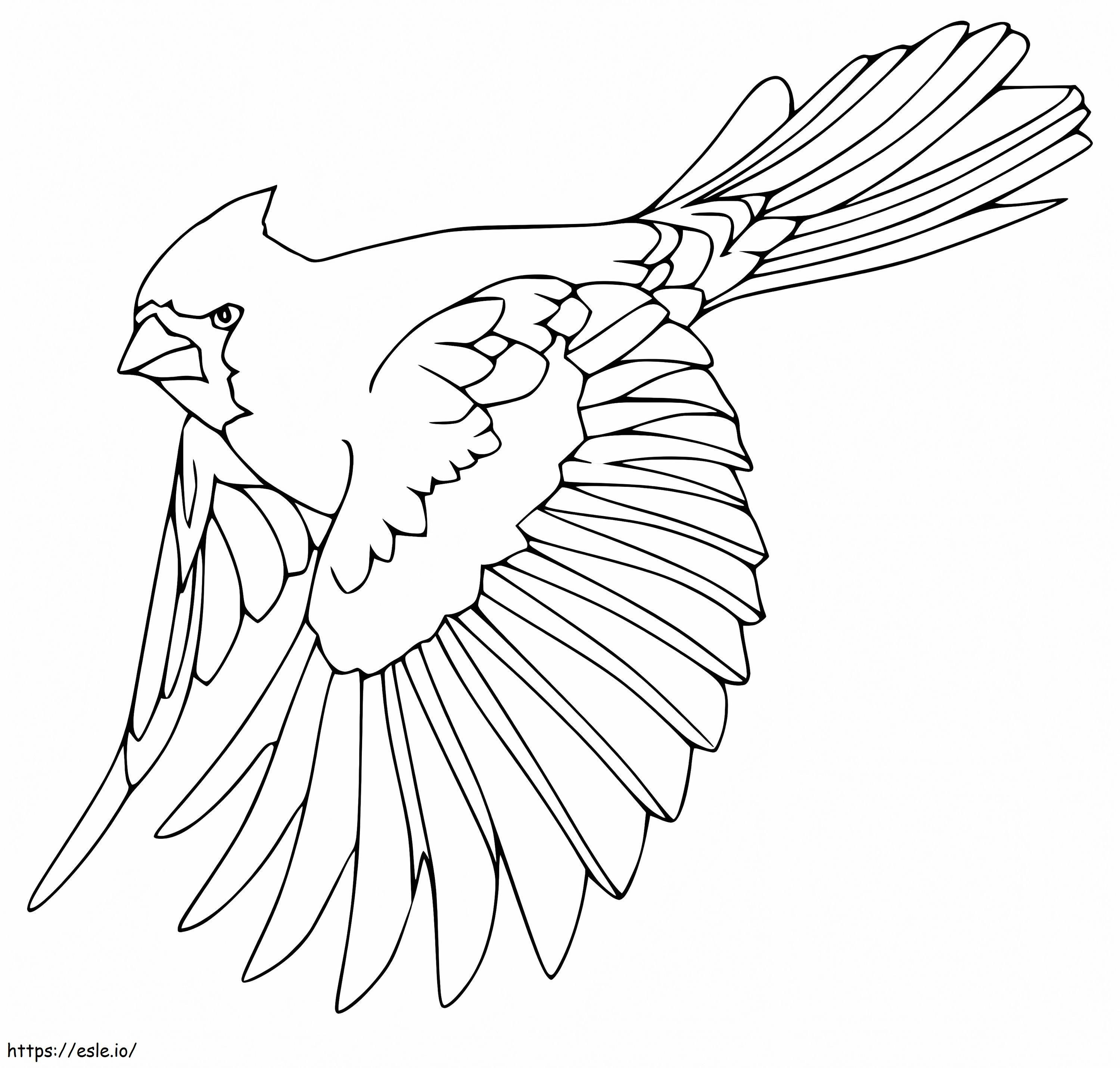 Coloriage Cardinal volant à imprimer dessin