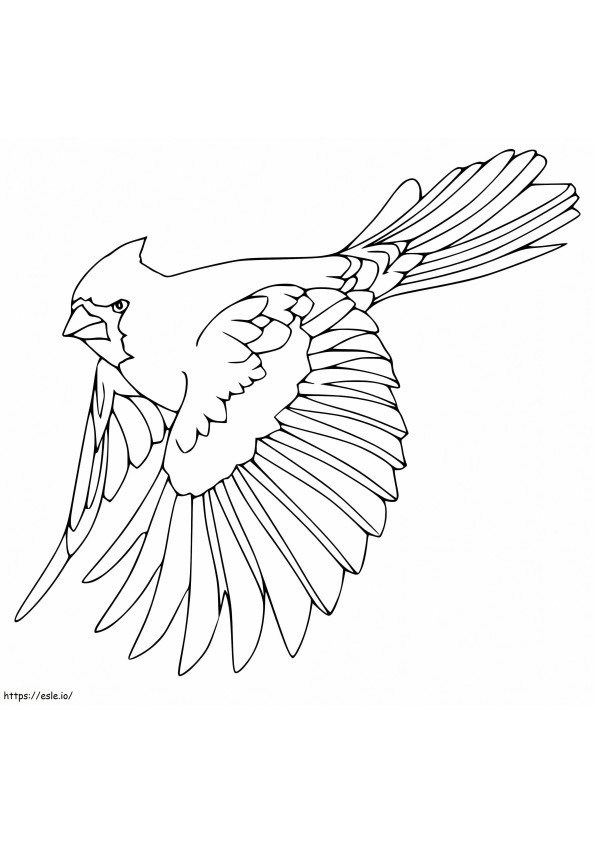 Flying Cardinal coloring page
