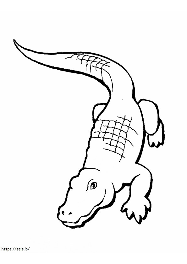 Krokodil basistekening kleurplaat