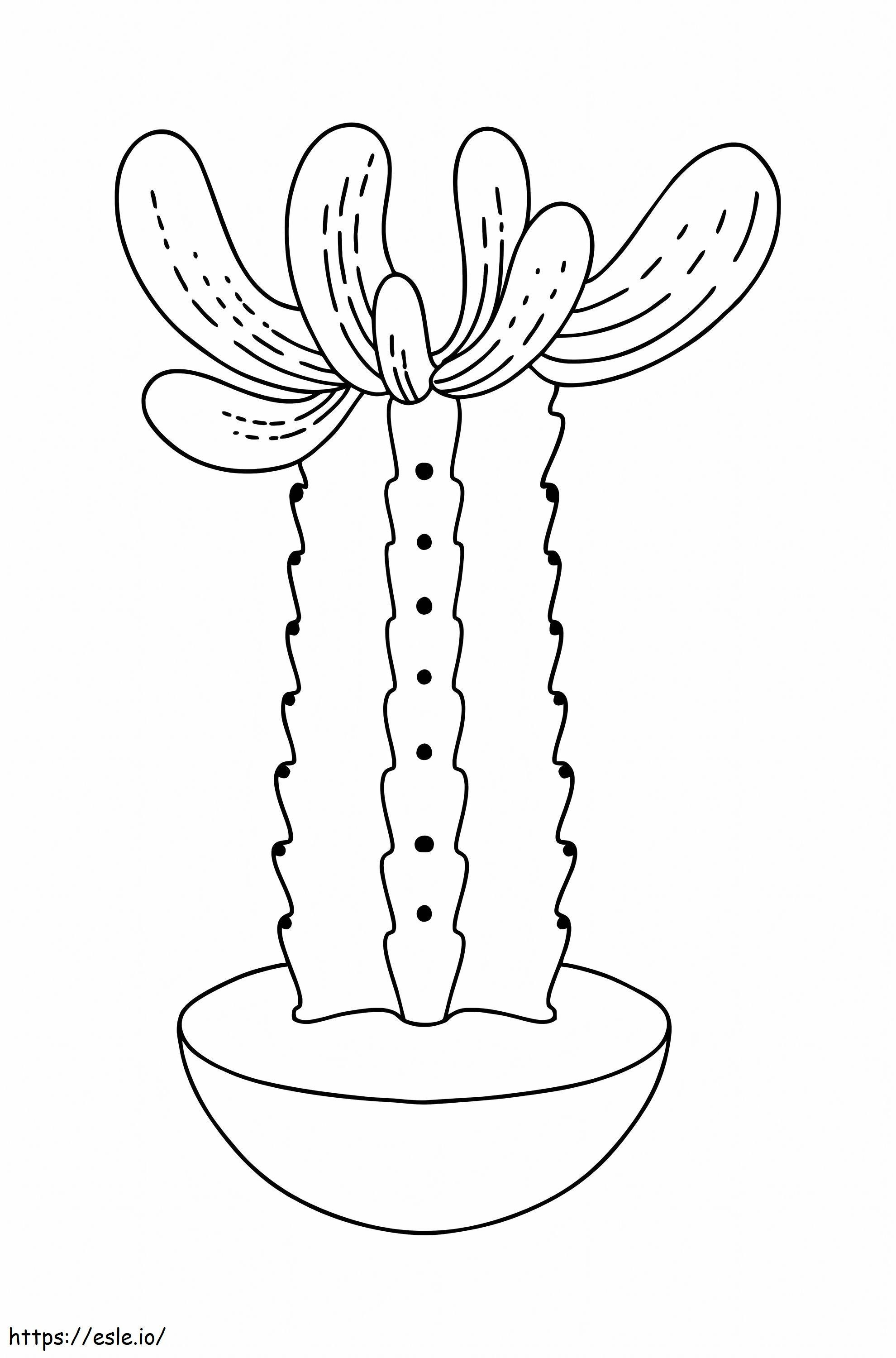 Coloriage Superbe cactus en pot à imprimer dessin