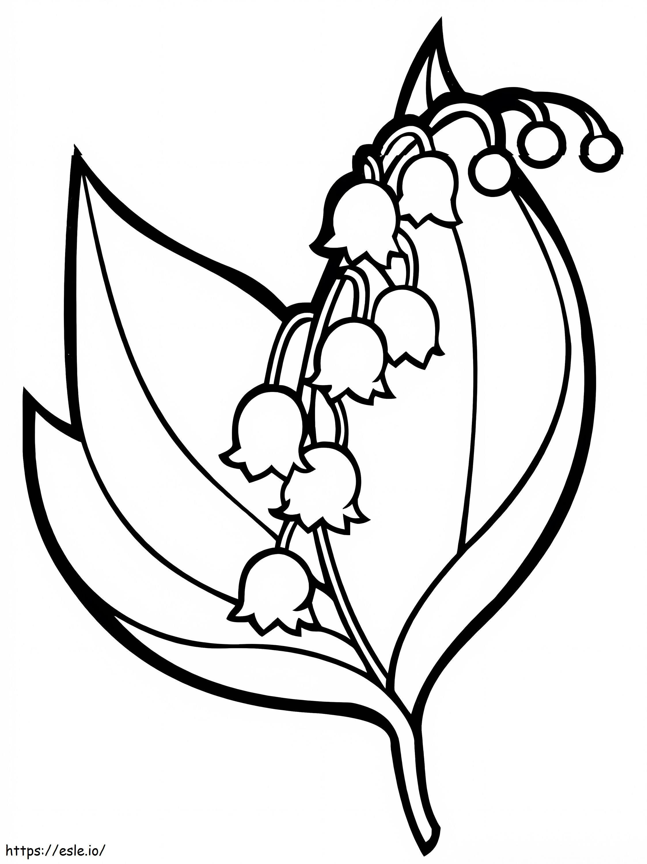 Flores de Campânula 8 para colorir