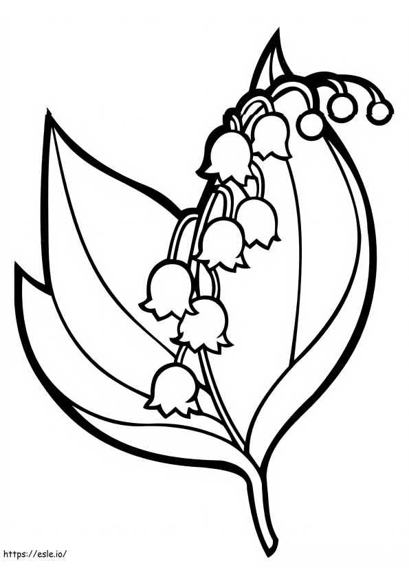Campanula-bloemen 8 kleurplaat
