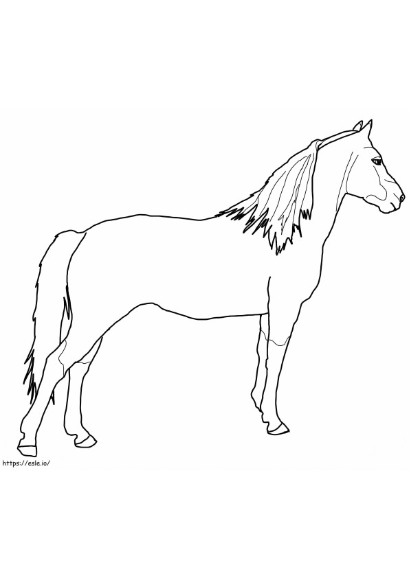 Cavalo Morgan Livre para colorir