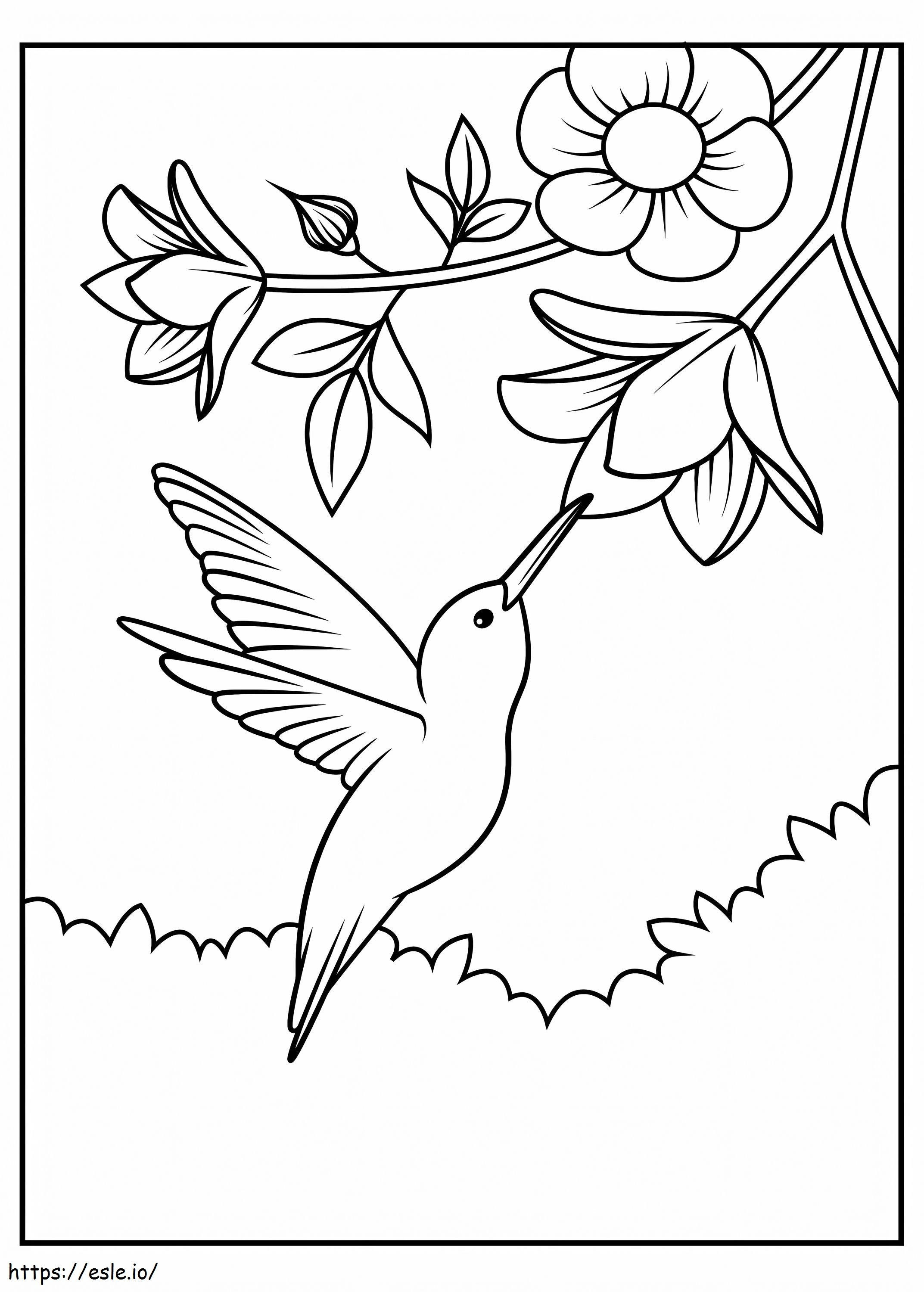 Hummingbird Dengan Bunga Gambar Mewarnai
