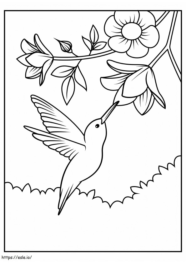 colibri com flor para colorir