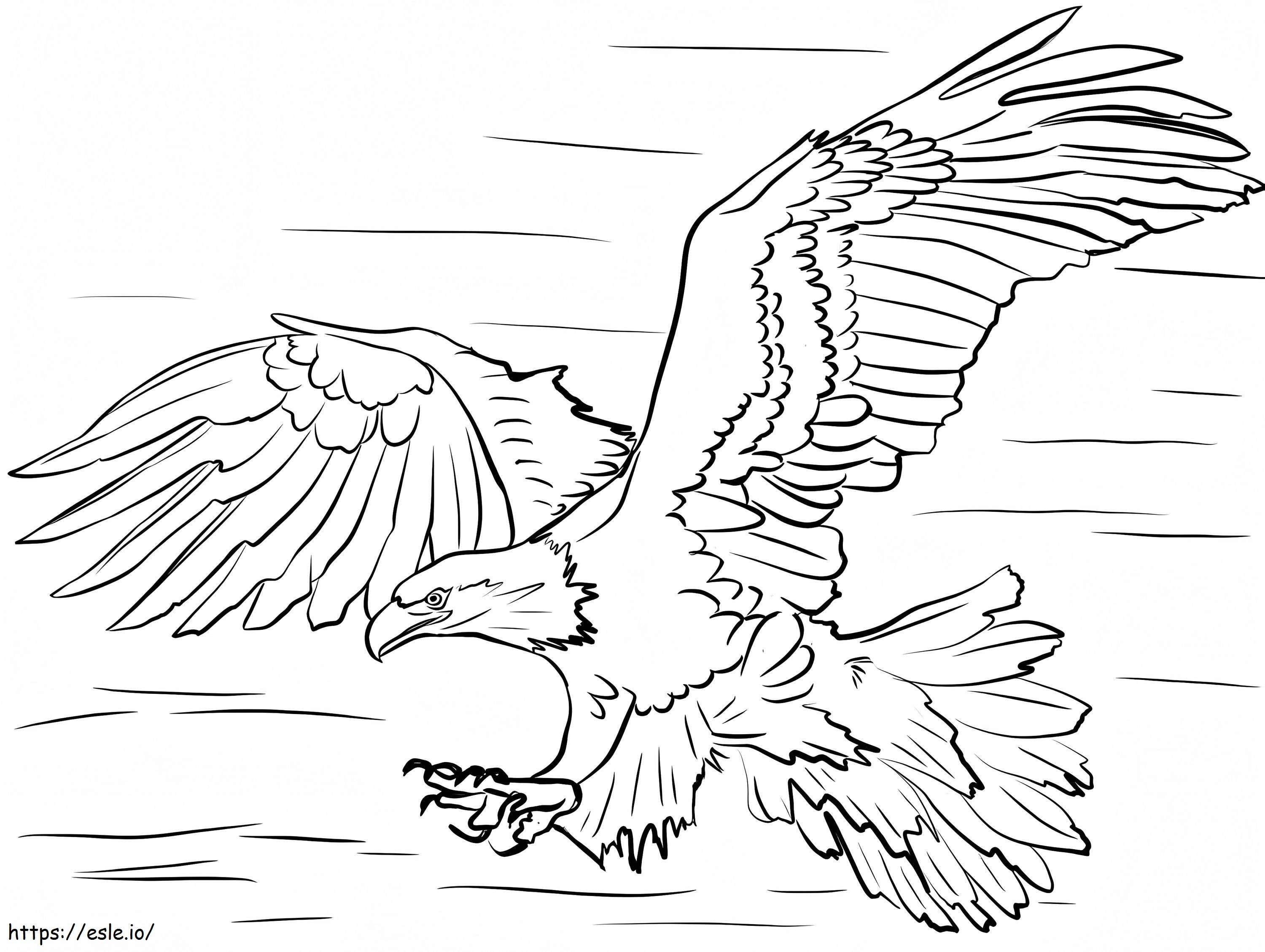 Vulturul chel 2 de colorat