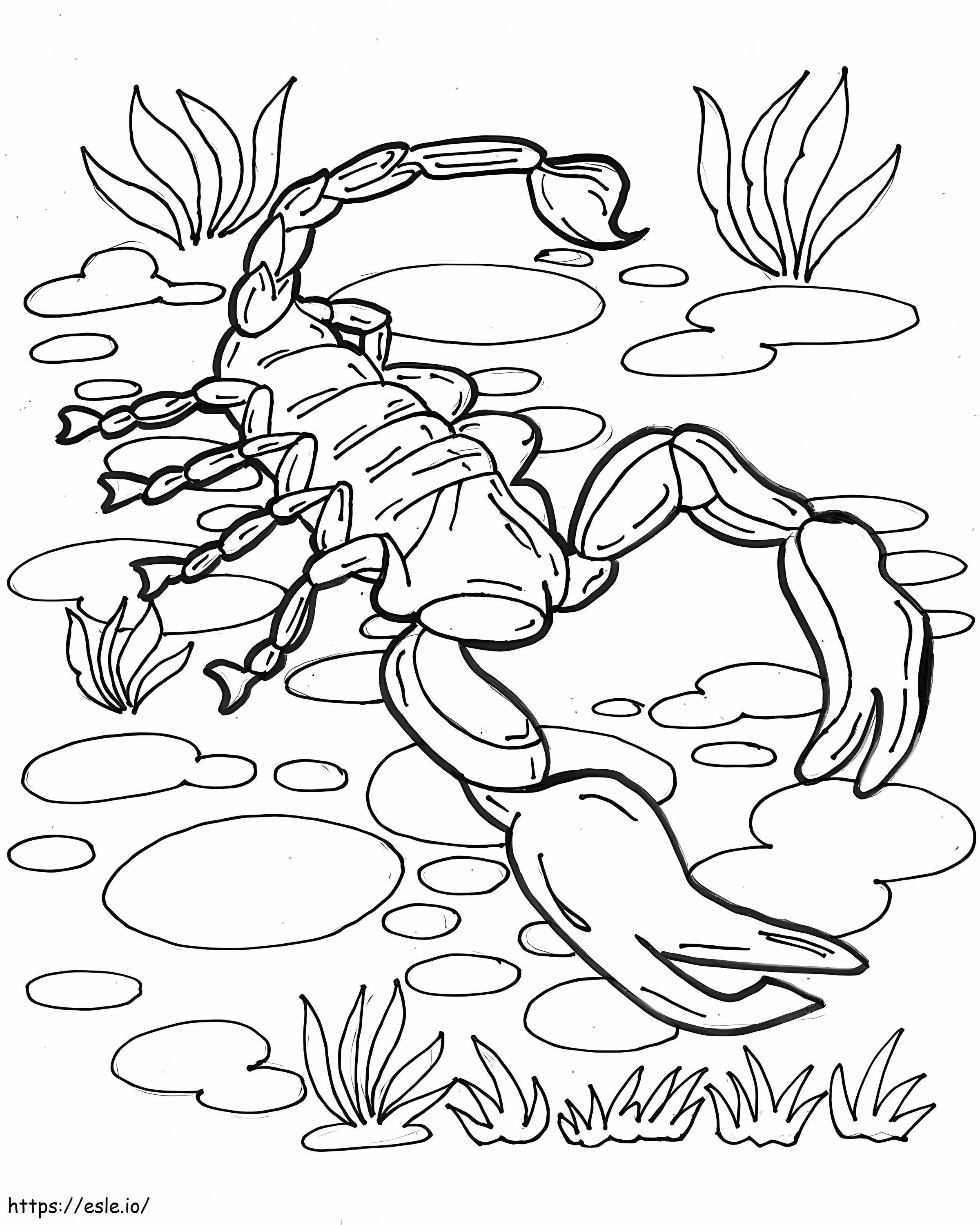 Scorpion On Ground coloring page